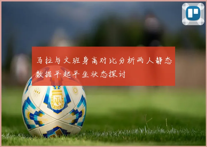 马拉与文班身高对比分析两人静态数据平起平坐状态探讨