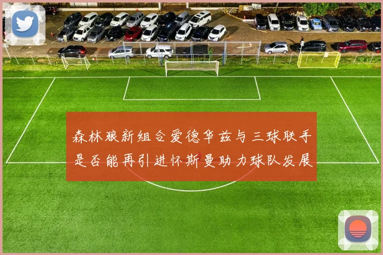 森林狼新组合爱德华兹与三球联手是否能再引进怀斯曼助力球队发展