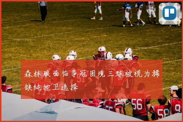森林狼面临争冠困境三球被视为稀缺纯控卫选择
