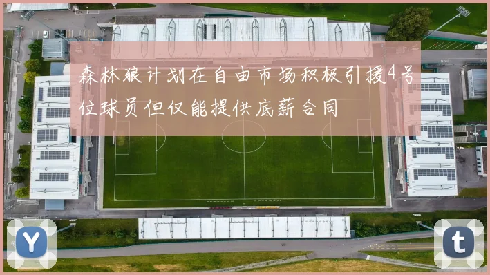 森林狼计划在自由市场积极引援4号位球员但仅能提供底薪合同